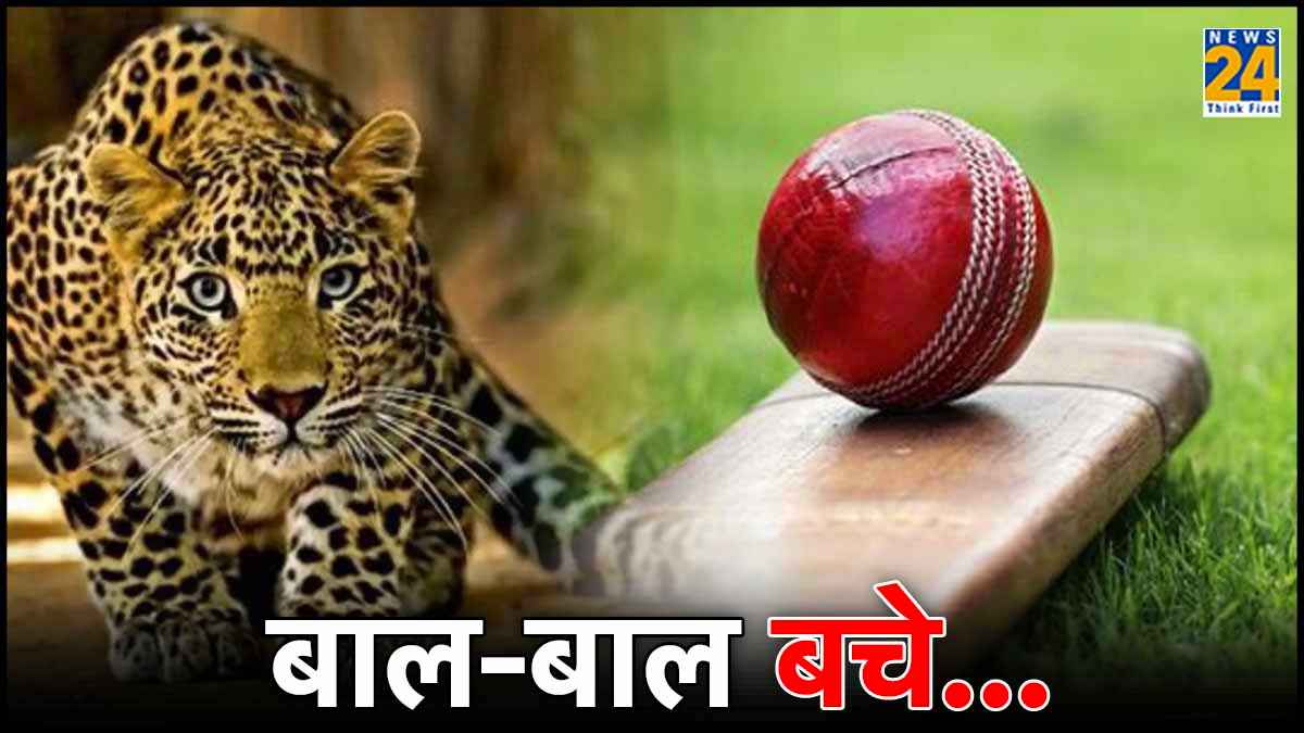पूर्व क्रिकेटर पर तेंदुए ने किया हमला, जख्मी हालत में कराया गया अस्पताल में भर्ती