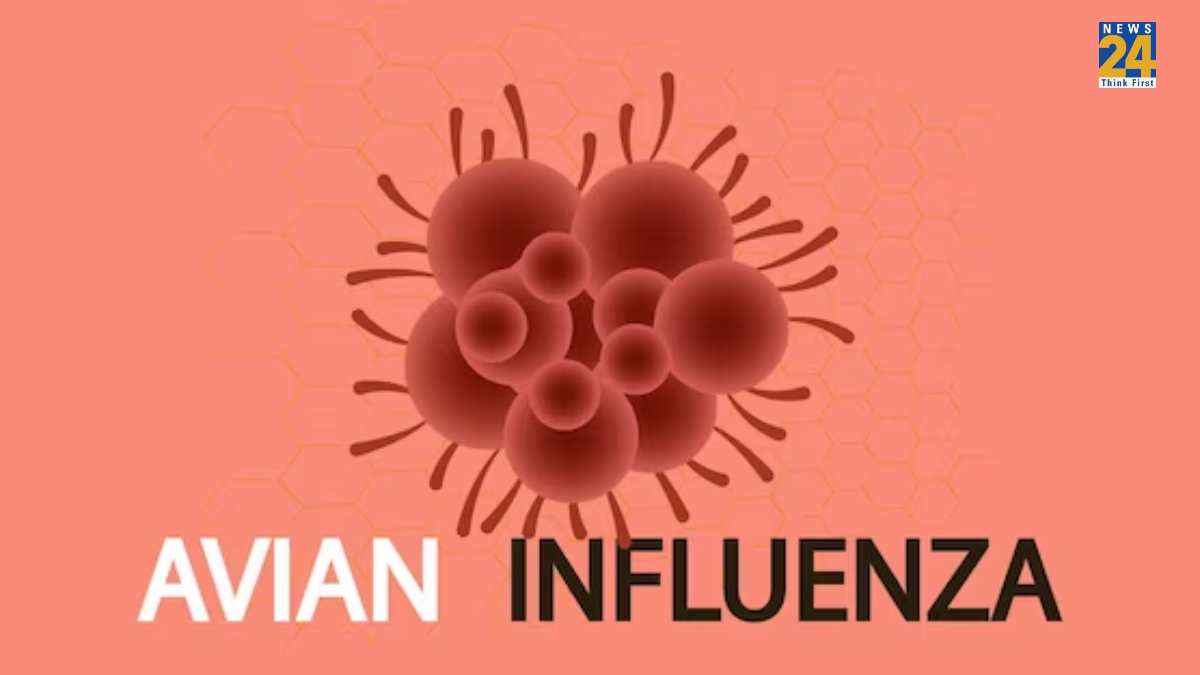 कोरोना से कितना ज्यादा खतरनाक है H5N1 वायरस? हेल्थ एक्सपर्ट भी दिखे टेंशन में