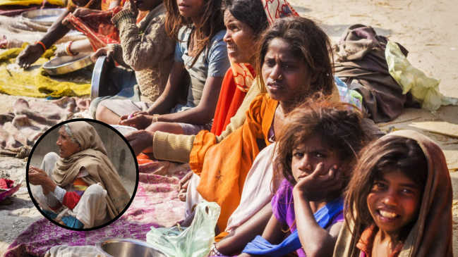 Haryana BPL Ration Card Apply Haryana BPL Ration Card Apply