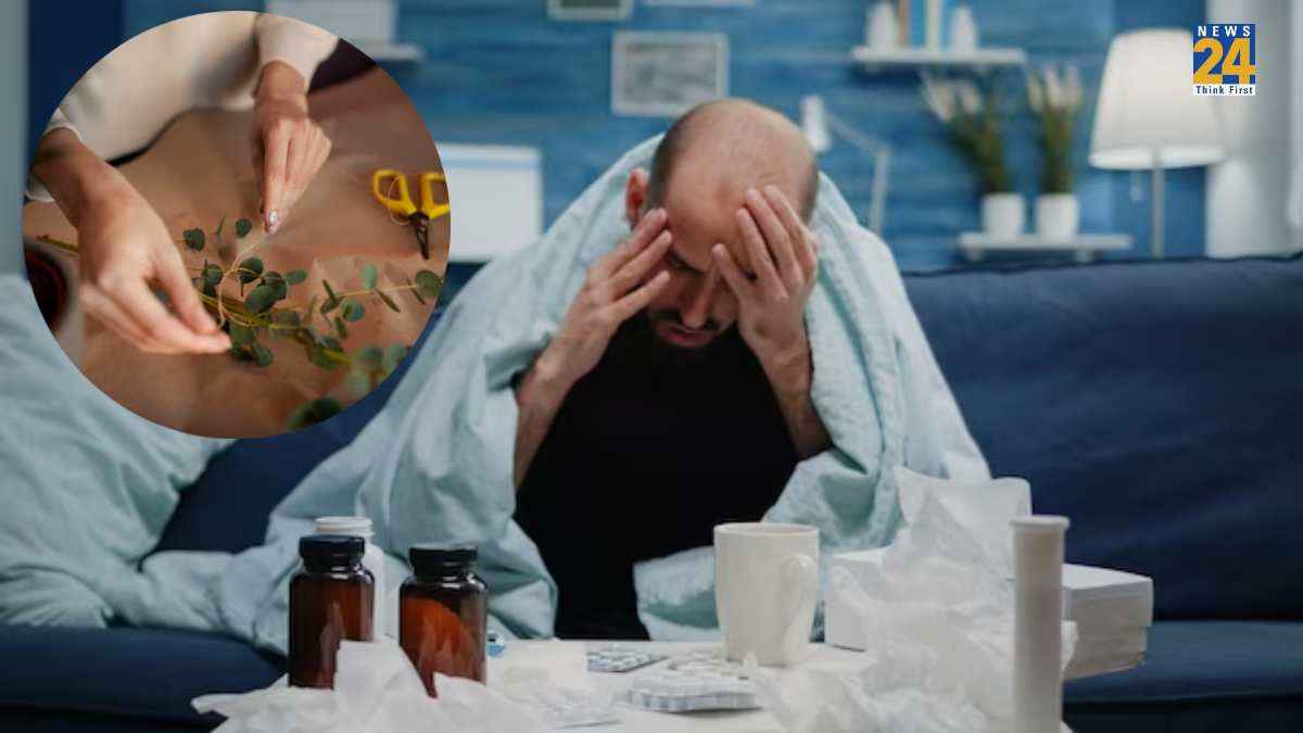 Home Remedies: वायरल का बढ़ा खतरा, तुरंत अपनाएं ये 5 घरेलू नुस्खे