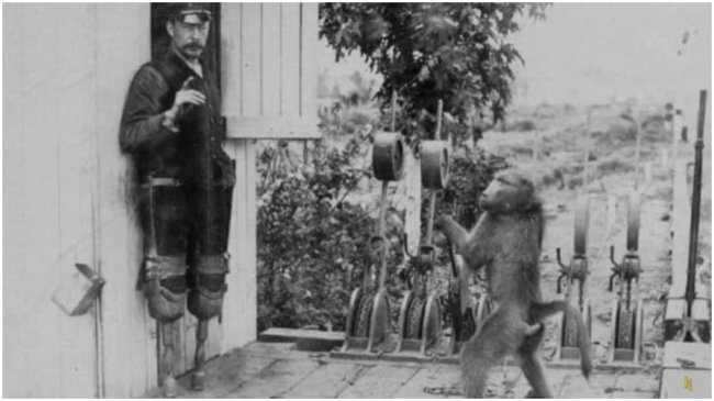 James And His Monkey Assistant Jack