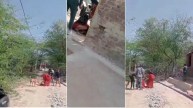 MP Gwalior Old Woman Murder Video Viral