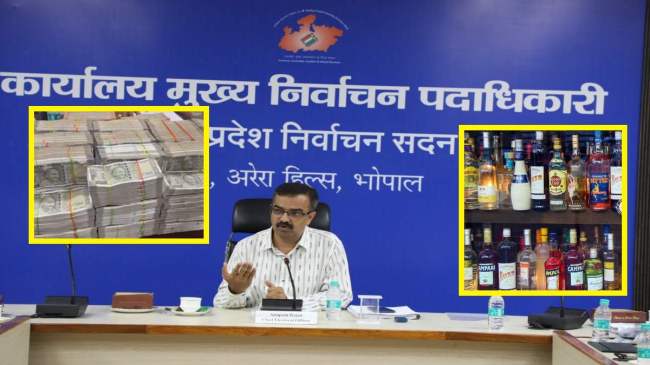 MP Lok Sabha Election 2024