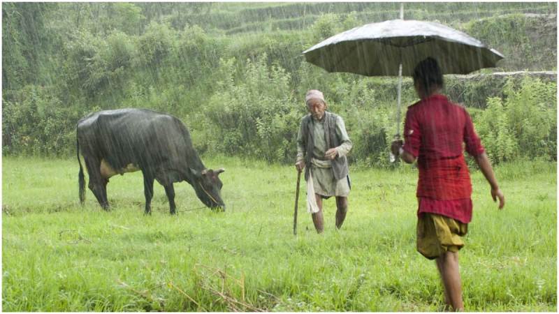 Monsoon Rain