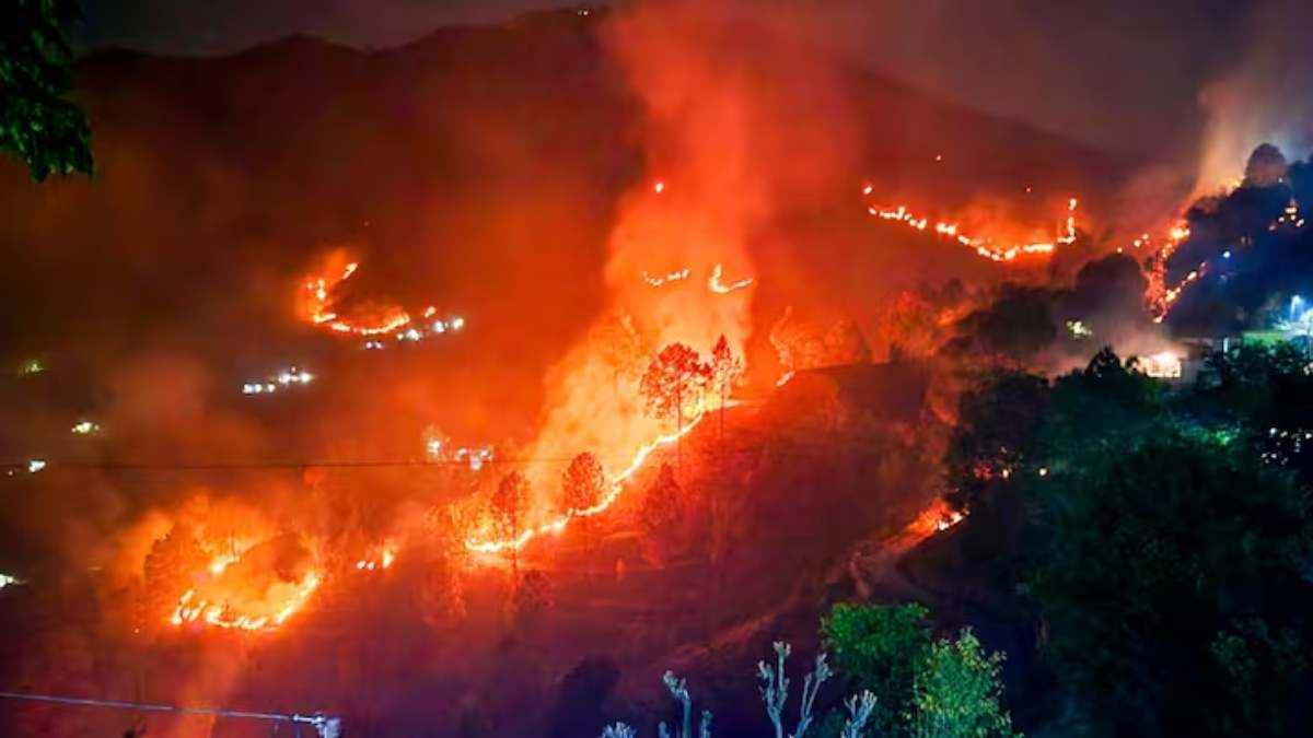 Bambi Bucket, IAF, Nainital, forest, fires