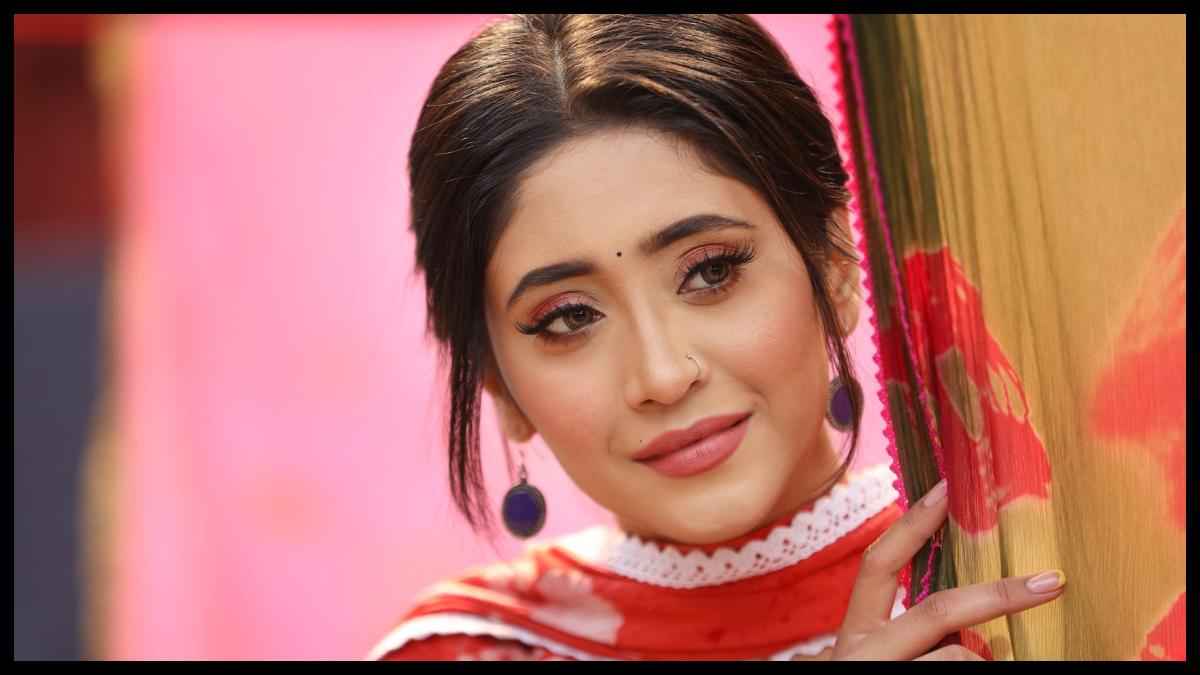 Shivangi Joshi को मिला नया प्यार! 13 साल बड़े एक्टर को दिल दे बैठीं TV की नायरा?