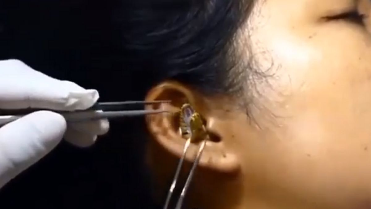 Snake in Woman Ear