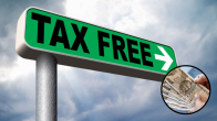 Tax Free Income