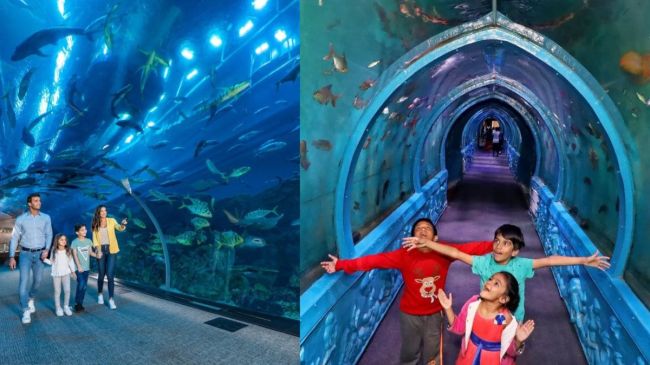 Underwater Tunnel Aquarium Delhi