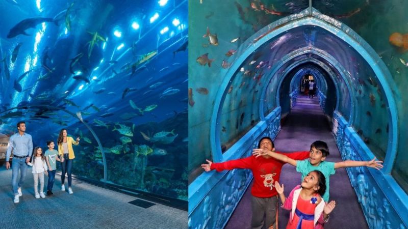 Underwater Tunnel Aquarium Delhi
