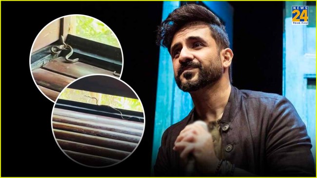 Snake Falls in Vir Das Bathroom