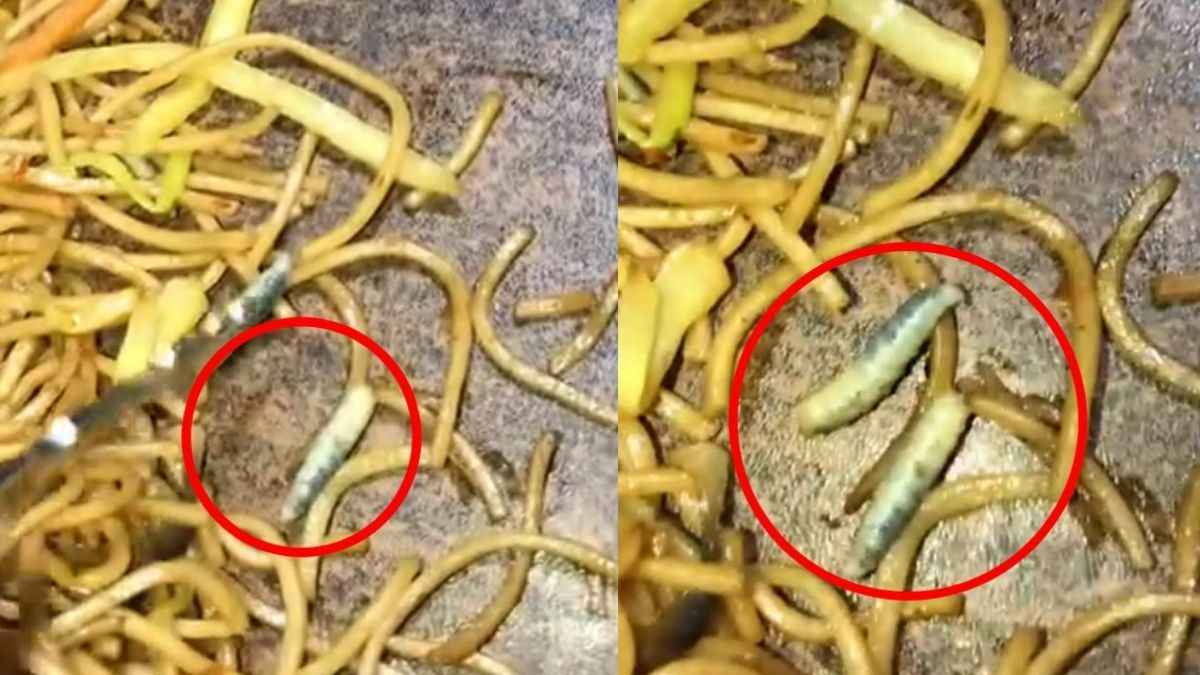चाऊमीन के शौकीन मत देखें ये वायरल वीडियो, नफरत हो जाएगी नूडल्स से