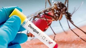 Dengue