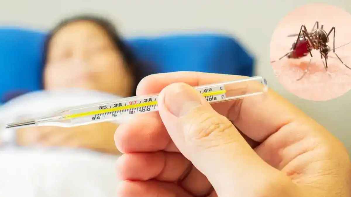 कितने तरह का होता है डेंगू वायरस? ये लक्षण दिखने पर ही हॉस्पिटल में कराएं एडमिट