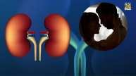 kidney disease and physical relation