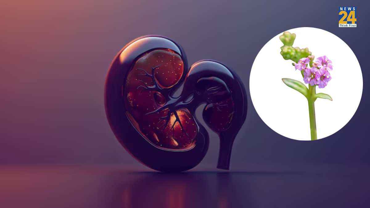kidney stone home remedies