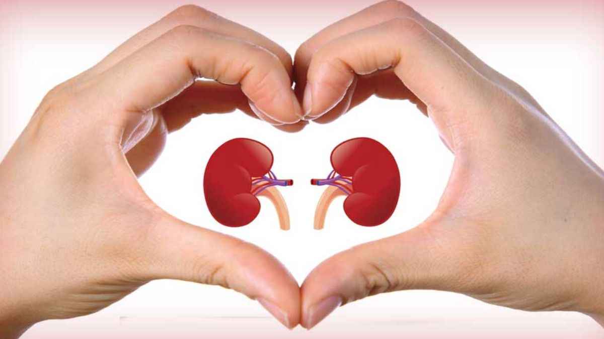 ये हैं किडनी को फिट रखने के 5 टिप्स, हर तरीका है काफी जरूरी