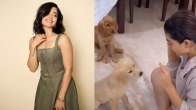 Rashmika Mandanna National Pet Day Post