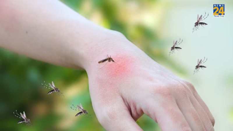 why mosquitoes bite some people