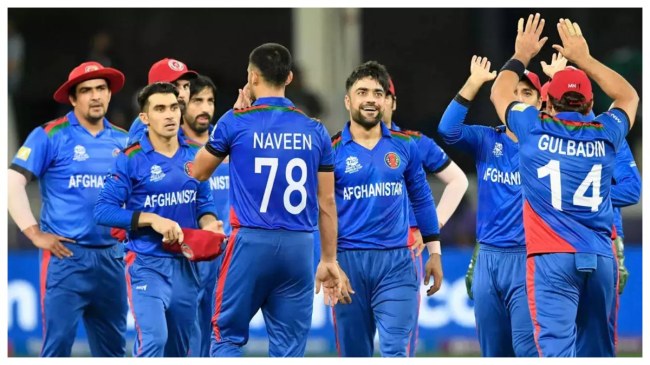 T20 World Cup 2024 Afghanistan Ropes In Dwayne Bravo as Bowling Consultant