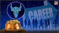 Best-Career-Options-for-Taurus