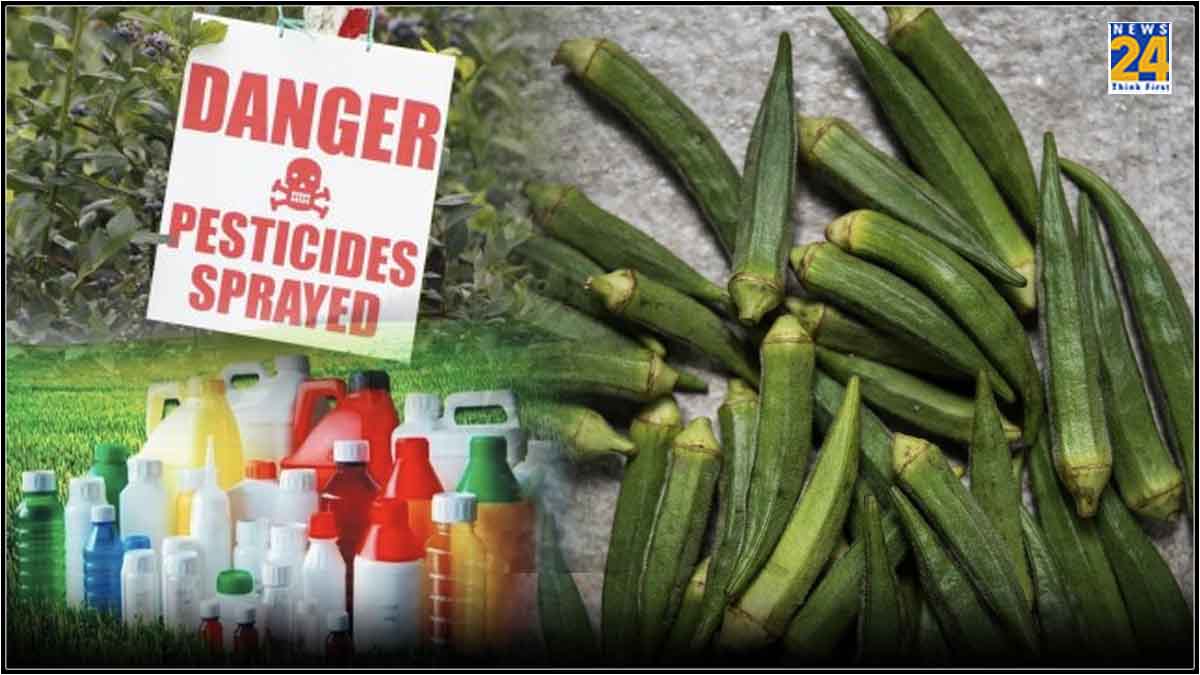 Pesticides in Lady Fingers