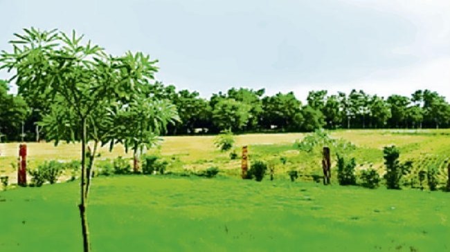 Bihar Water Life Greenery Campaign