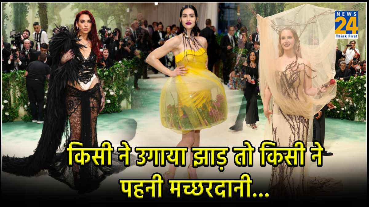 Celebrities Looks In Met Gala 2024