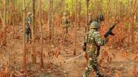 Chhattisgarh Naxalites Operation