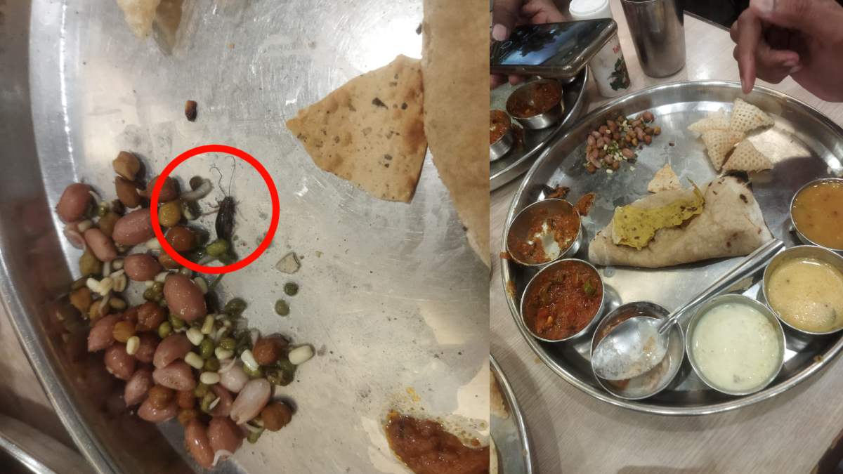 Cockroach Found in Khane ki Thali