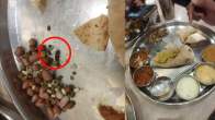 Cockroach Found in Khane ki Thali