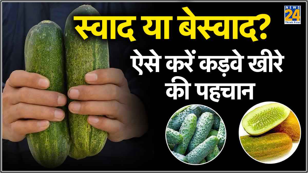 नहीं बिगड़ेगा मुंह का स्वाद! 3 ट्रिक से होगी कड़वे खीरे की पहचान