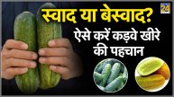 How to Identify Bitter Cucumbers