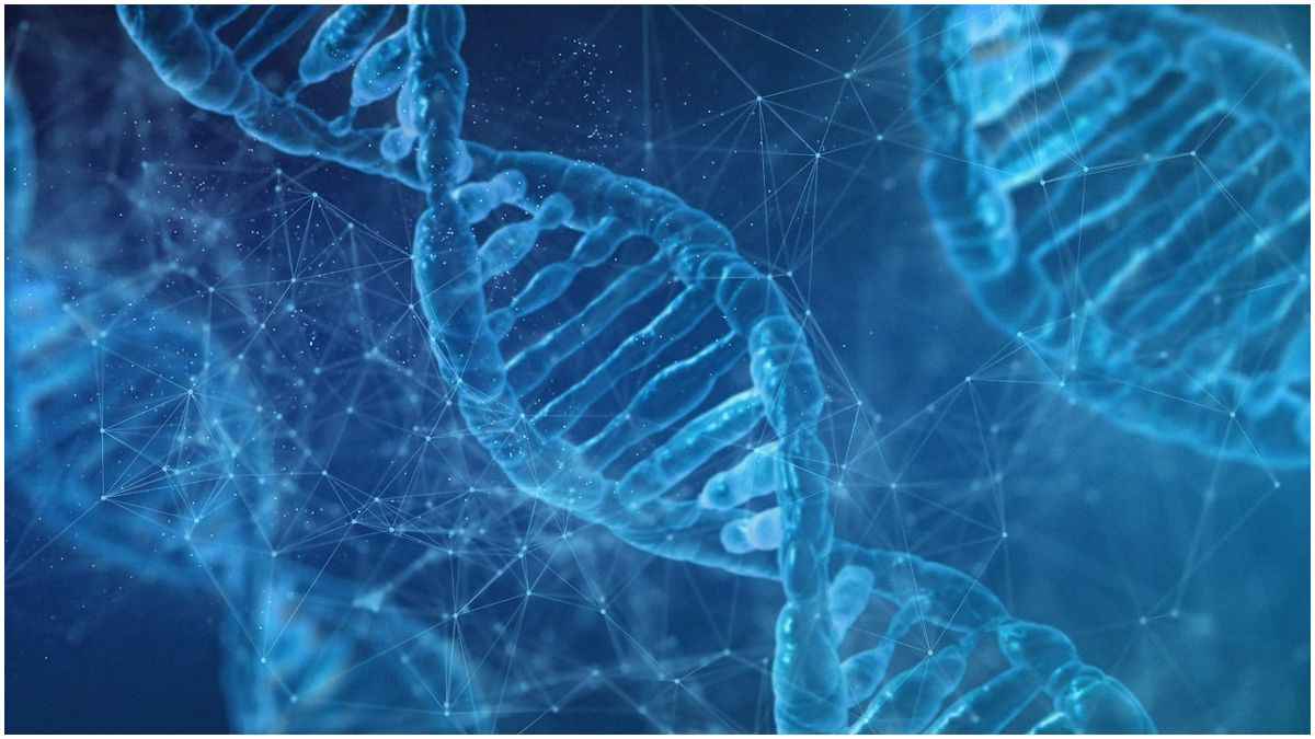 New Study: वैज्ञानिकों ने नर को बना दिया मादा! ढूंढ निकाले वो कारण जो करते हैं लिंग का निर्धारण