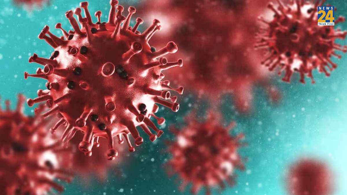 covid cut global life expectancy
