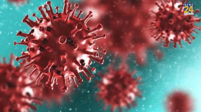 covid cut global life expectancy