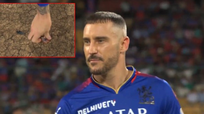 Faf Du Plessis Toss Faf Du Plessis Toss