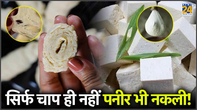 Fake Paneer and Soya Chaap