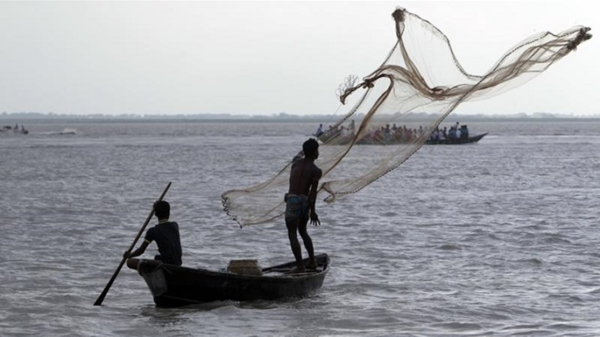 Fishes Died Due To Heatwave