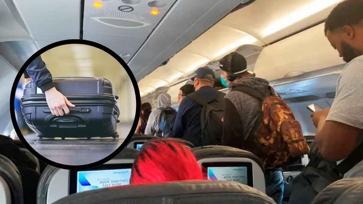 Flight thief