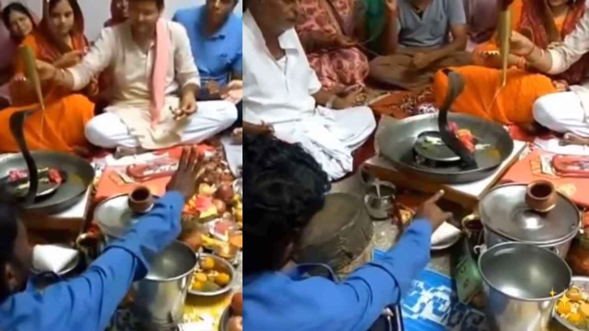 शिवलिंग की जगह असली नाग का किया रुद्राभिषेक, वीडियो देख लोग बोले -विश्वास करें, अंधविश्वास नहीं
