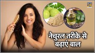 Hair Growth And Thickness Home Remedies