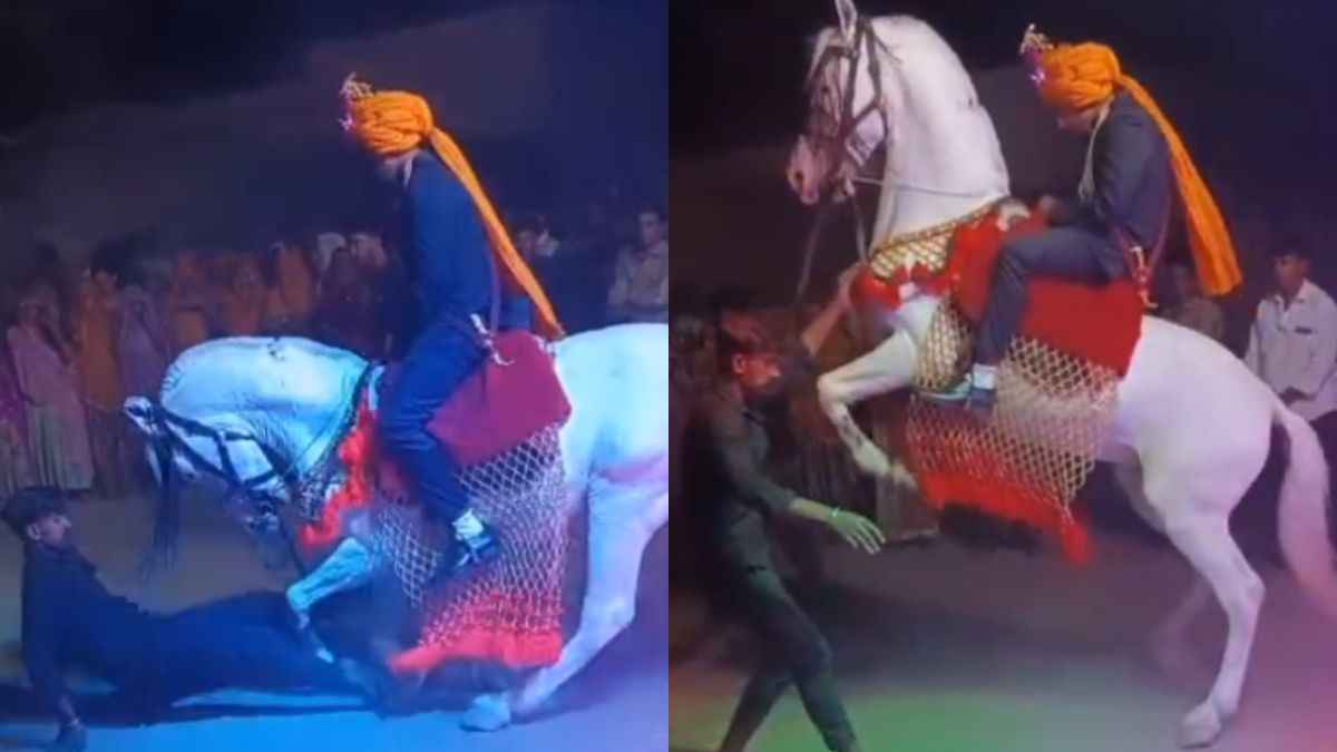 दूल्हे को लेकर घोड़े ने किया ऐसा डांस, हैरान रह गए बराती ; वीडियो वायरल