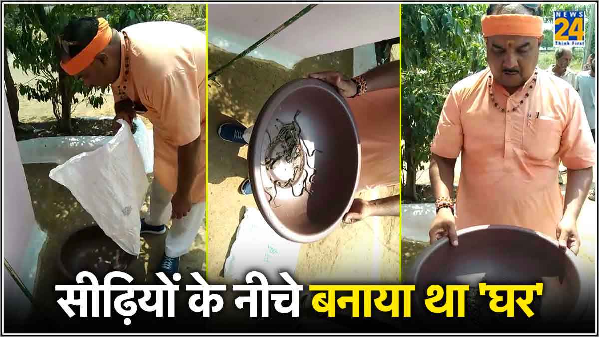 एक साथ 25 सांप देख रूह जाएगी कांप; चीखने चिल्लाने लगी महिला, सांपों का वीडियो वायरल