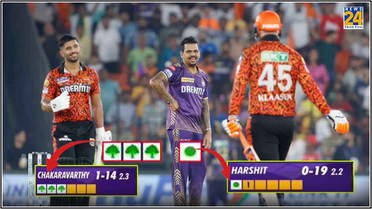 BCCI plant 500 trees for each dot ball bowled in IPL 2024 Playoffs KKR vs SRH