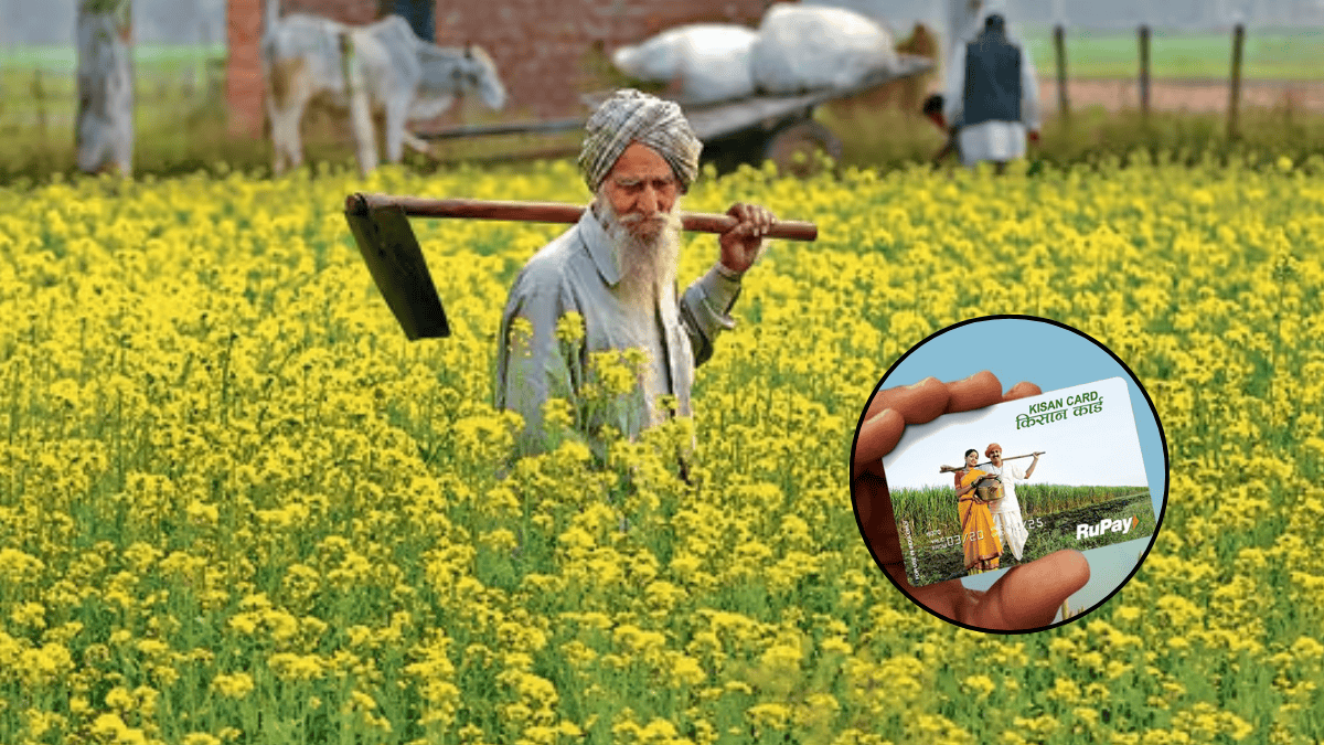 PM Kisan: सस्ती ब्याज दर पर मिलेगा लोन, किसान क्रेडिट कार्ड के लिए करें अप्लाई