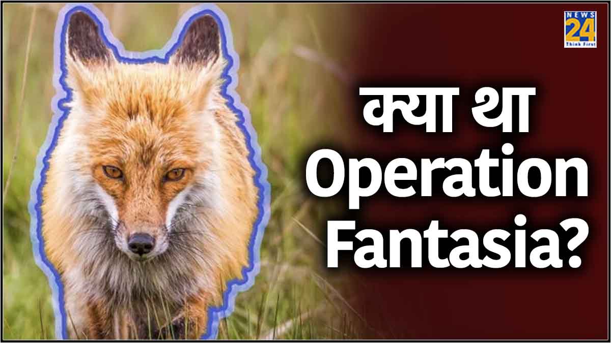 Operation Fantasia_