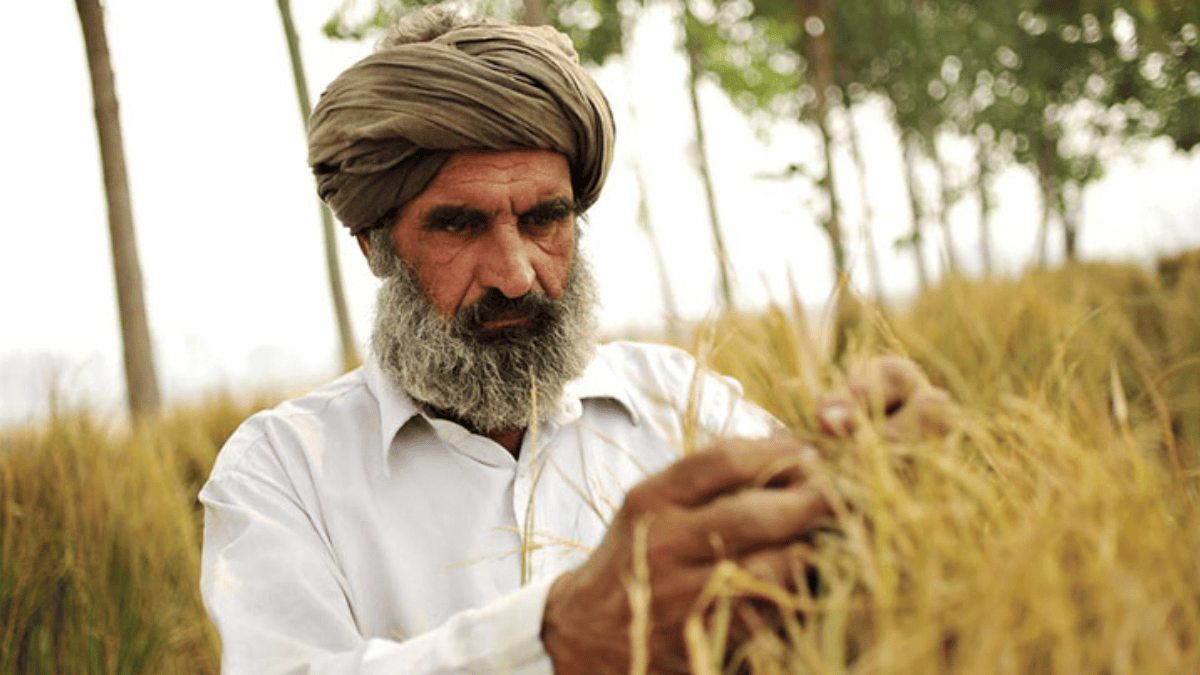 PM Kisan: पीएम किसान की लाभार्थी लिस्ट में कैसे देखें अपना नाम? ऑनलाइन सूची निकालने का तरीका