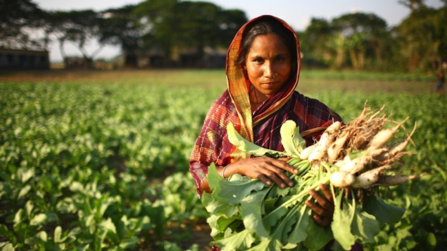 PM Kisan E KYC Online Process