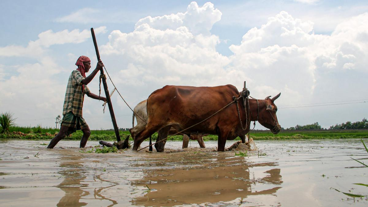 PM Kisan Yojana Status Check Process